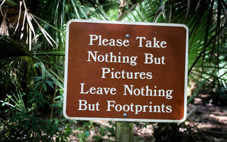 Celebrating National Hiking Day: The Importance of "Leave No Trace" - Melomys