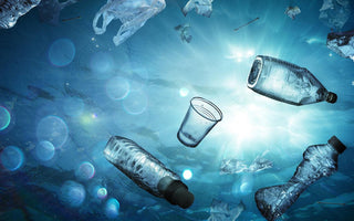 The Journey of Plastic: From Land to Sea and Its Environmental Impact - Melomys