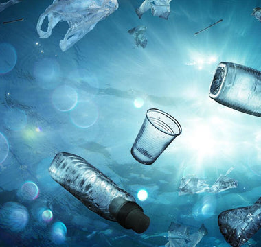 The Journey of Plastic: From Land to Sea and Its Environmental Impact - Melomys