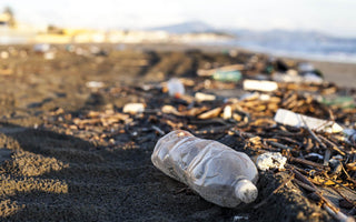 Top Organizations That Pick Up Ocean-Bound Plastic - Melomys
