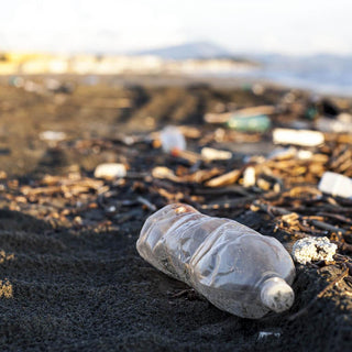 Top Organizations That Pick Up Ocean-Bound Plastic - Melomys