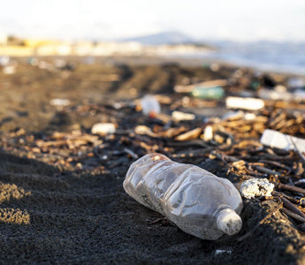 Top Organizations That Pick Up Ocean-Bound Plastic - Melomys